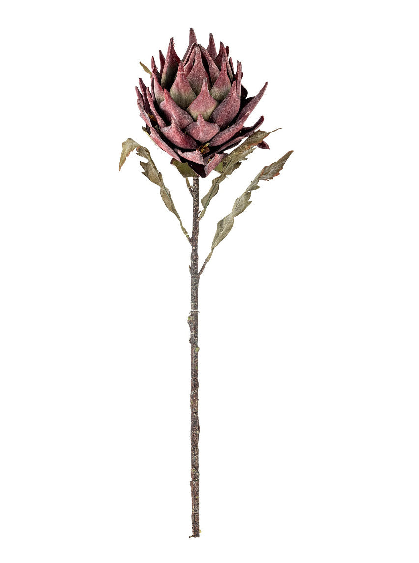 Protea Stem - Purple