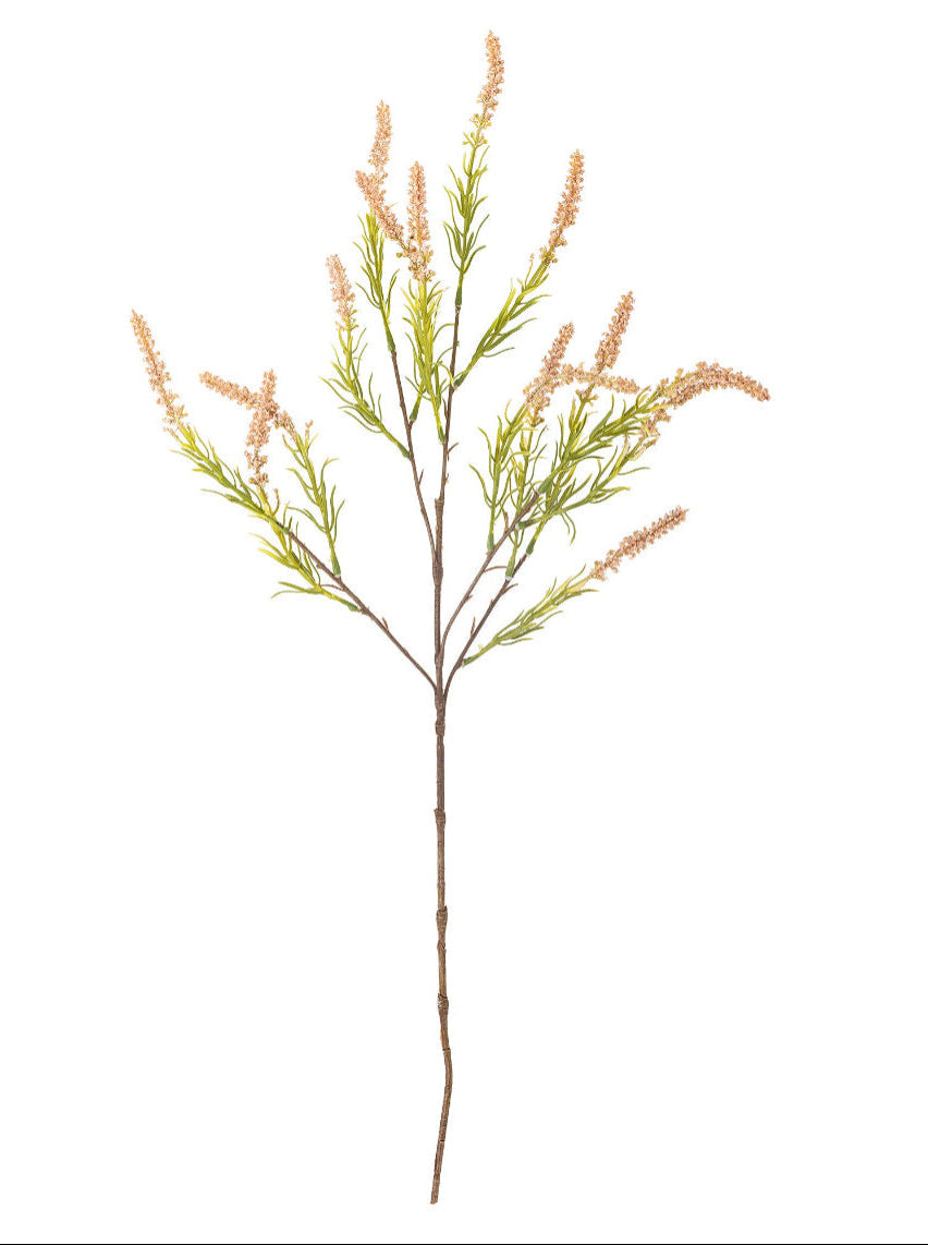 Foxtail Stem - Rose