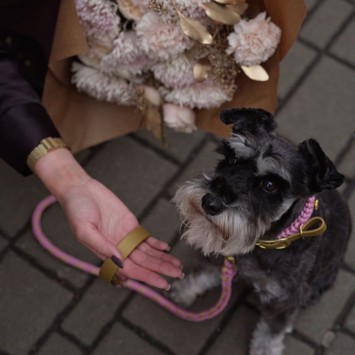 Flor Dog Leash Blush Pink - Mila & Coco