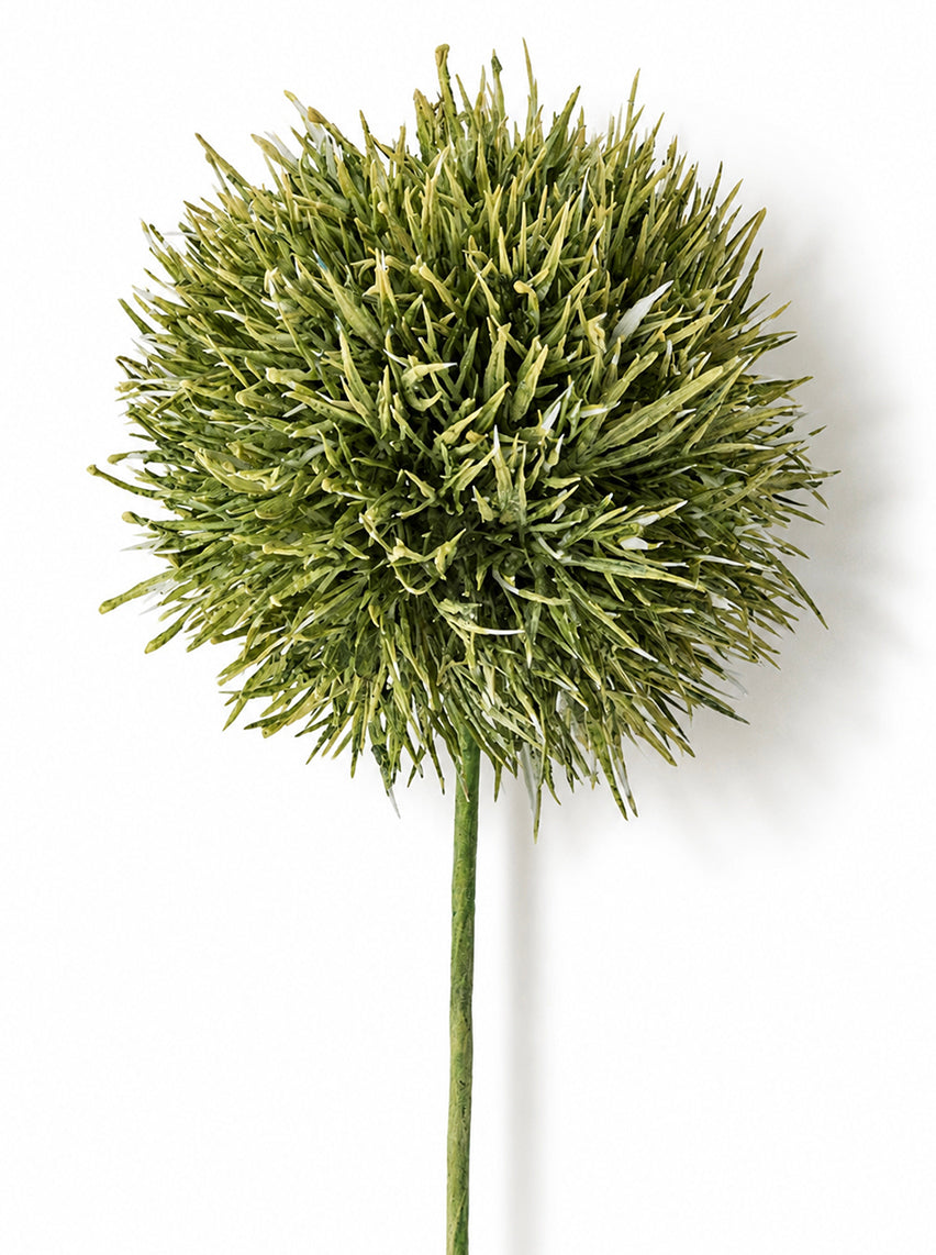 Allium Stem - Green