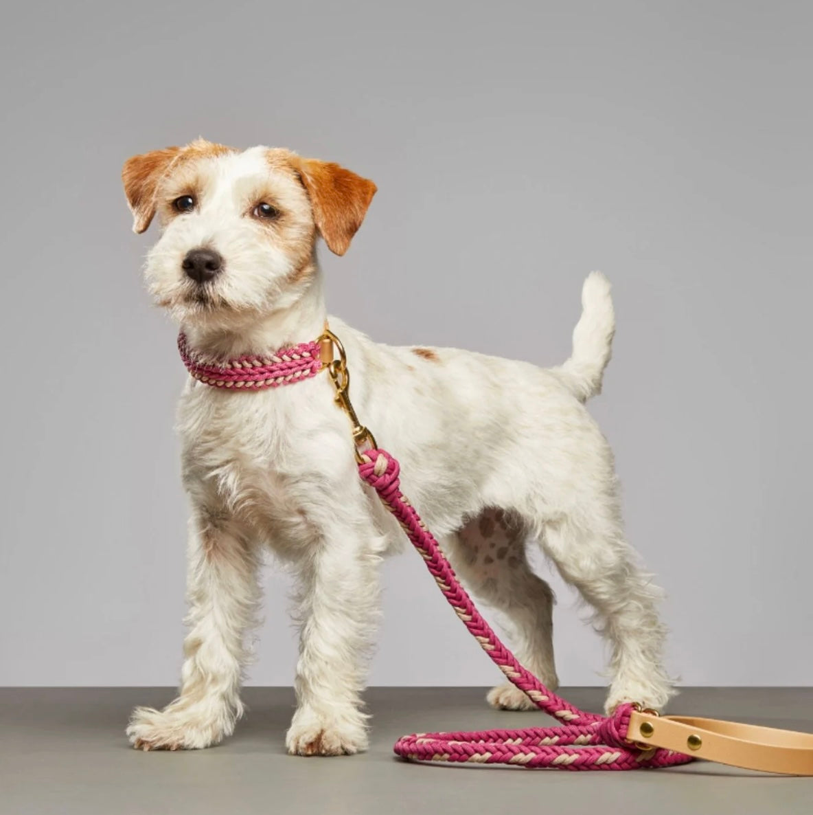 Catalina Dog Collar Rosie Pink - Mila & Coco