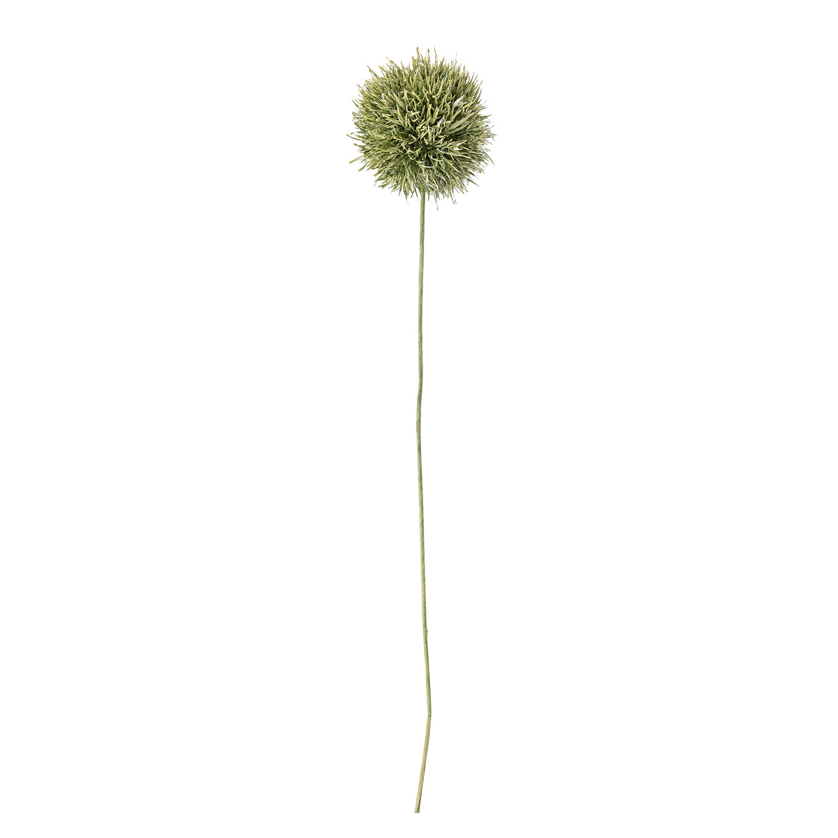 Allium Stem - Green - Bloomingville