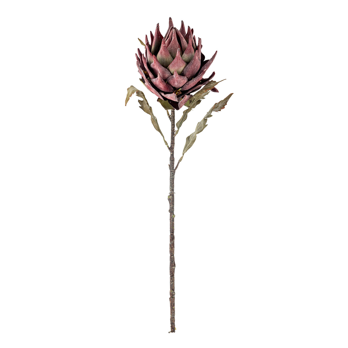 Protea Stem - Purple -  Bloomingville