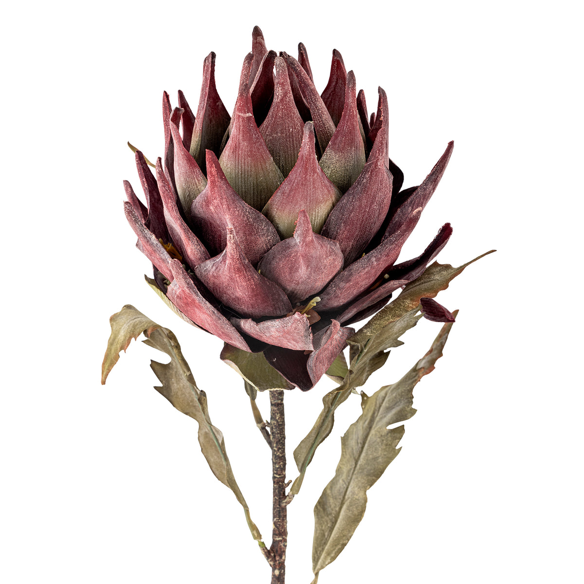 Protea Stem - Purple -  Bloomingville