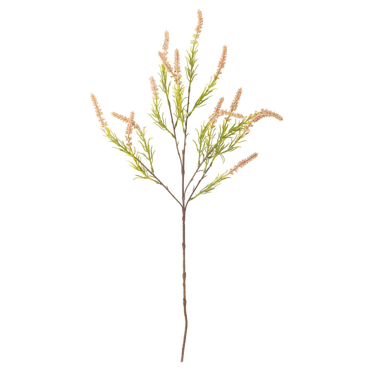 Foxtail Stem - Rose - Bloomingville