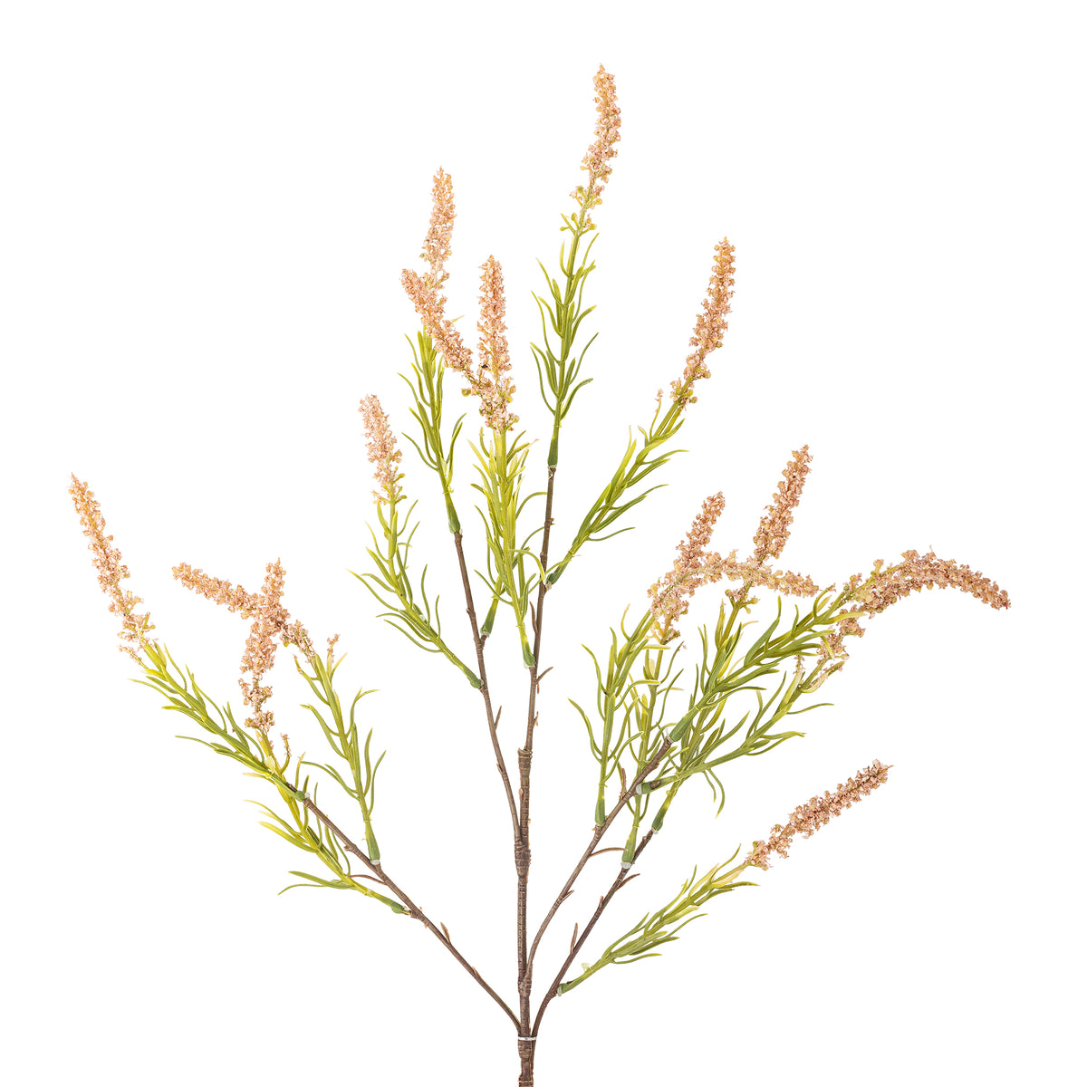 Foxtail Stem - Rose - Bloomingville