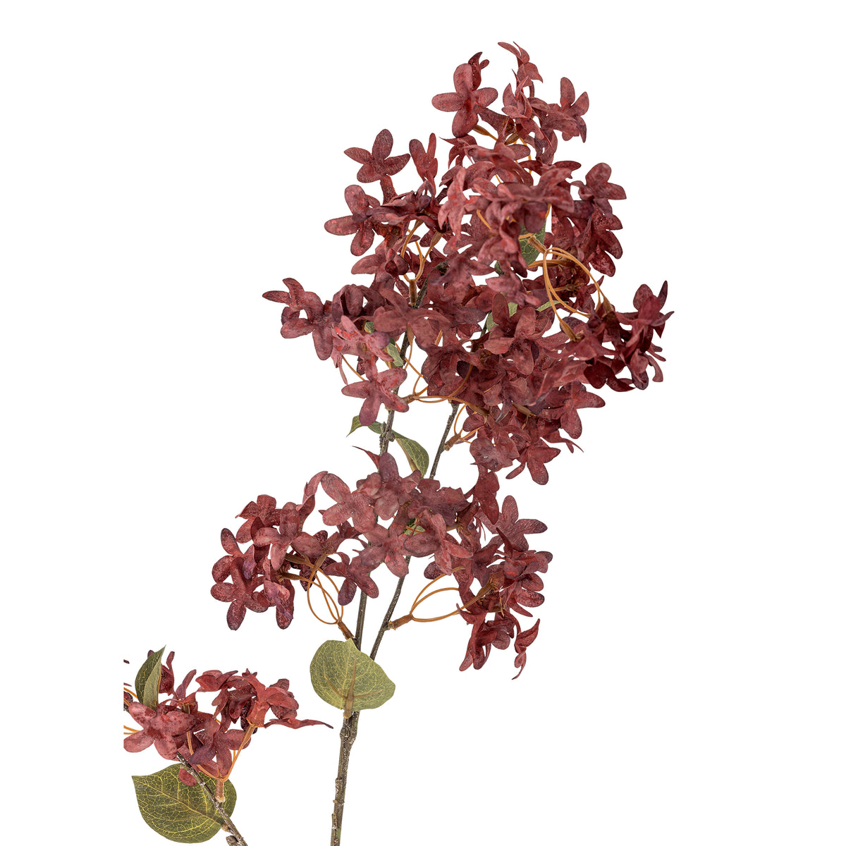 Myrtle Stem - Purple - Bloomingville