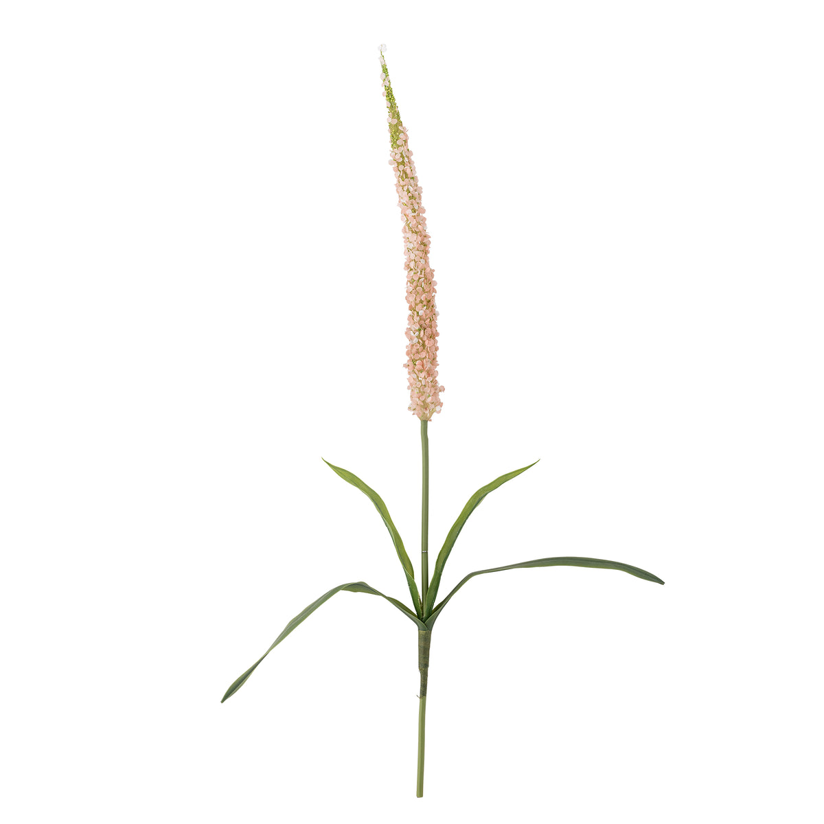Foxtail Stem – Pink - Bloomingville