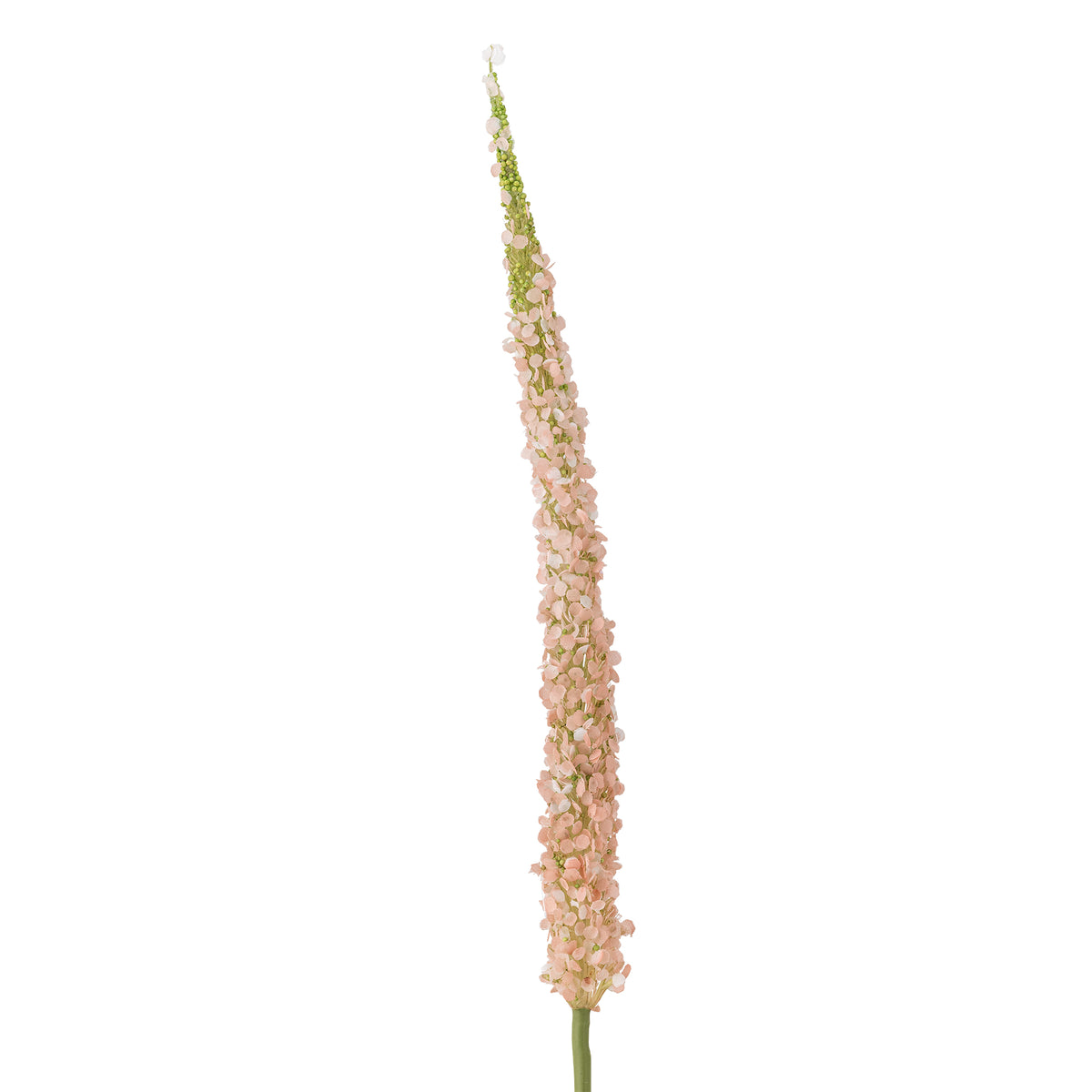 Foxtail Stem – Pink - Bloomingville