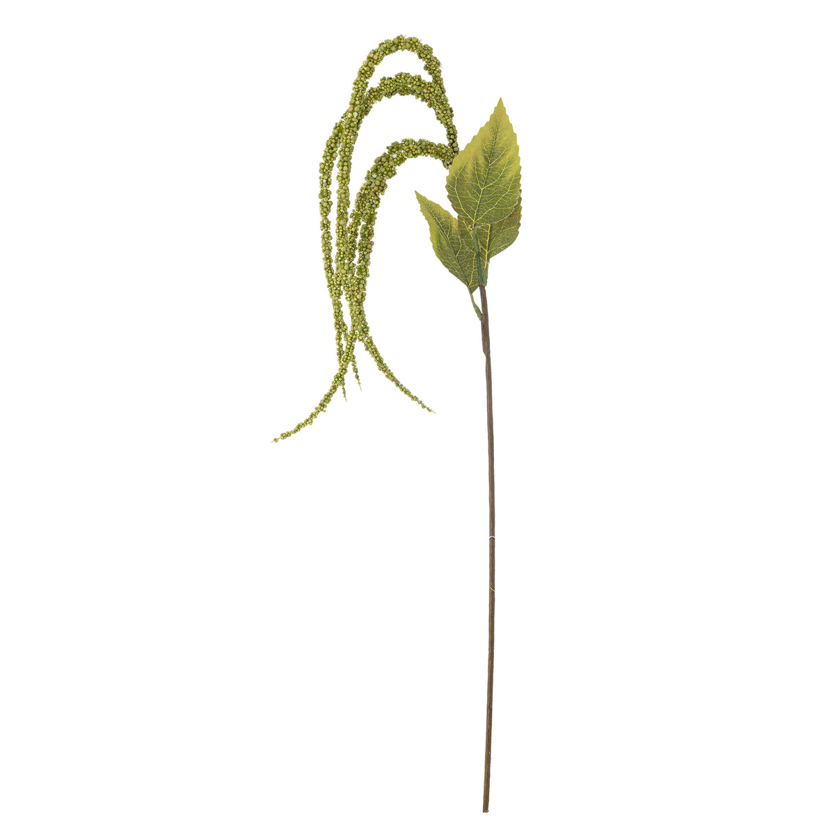 Foxtail Stem - Green - Bloomingville