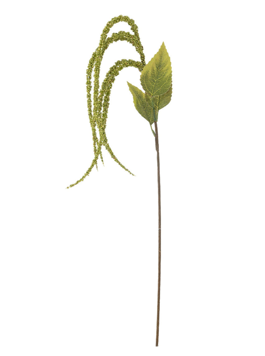 Foxtail Stem - Green