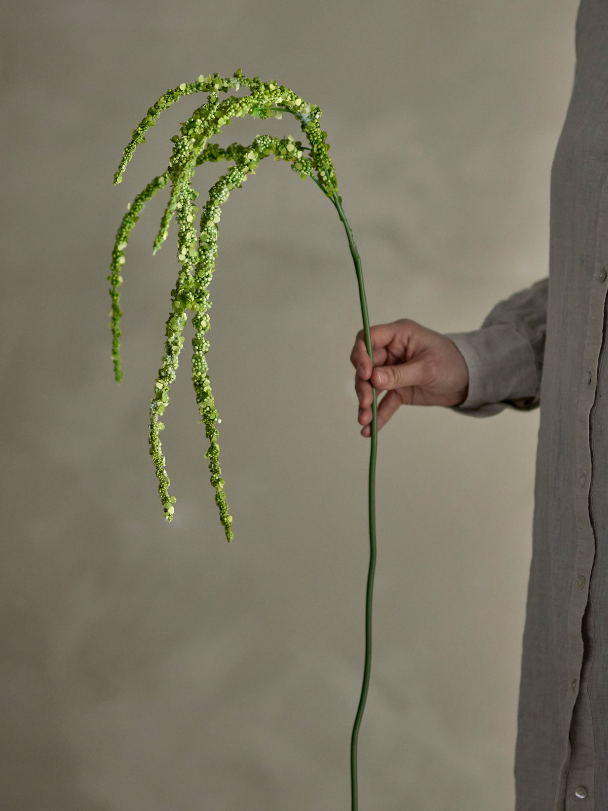 Foxtail Stem - Green - Bloomingville