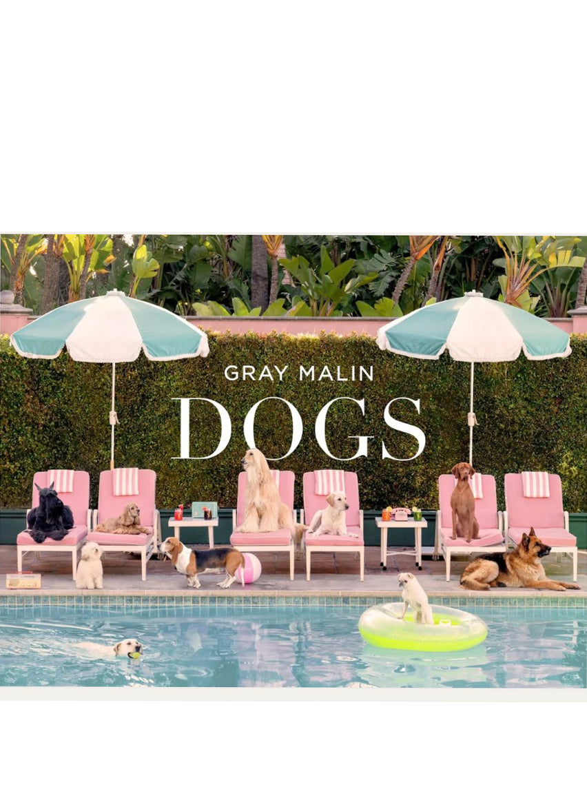 Gray Malin - Dogs