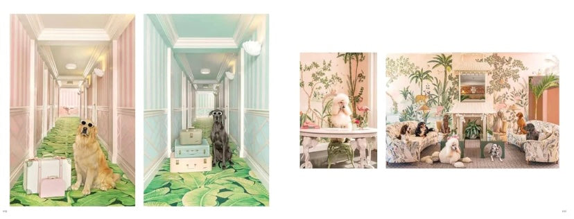 Gray Malin - Dogs