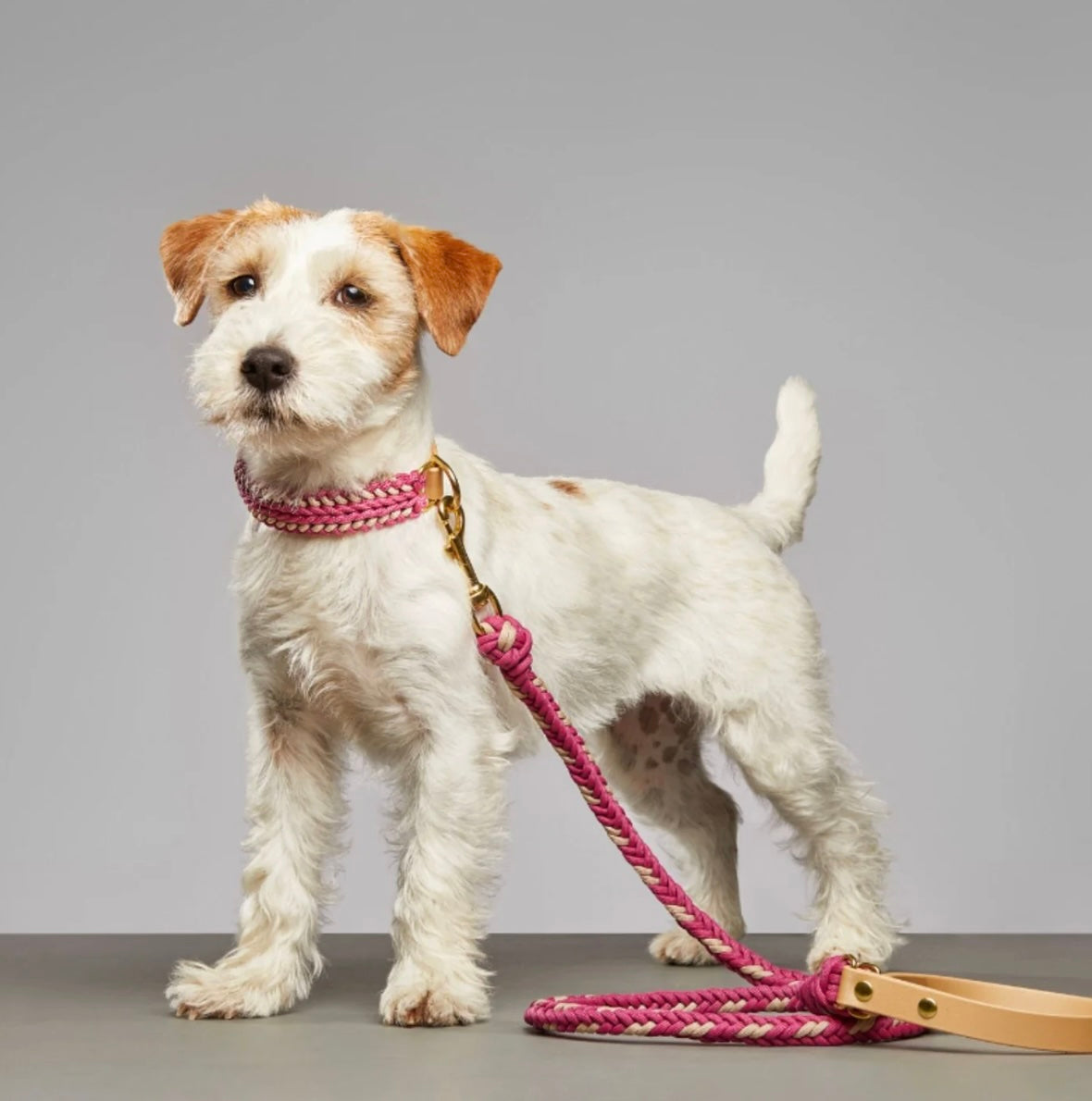 Catalina Dog Leash Rosie Pink -  Mila & Coco
