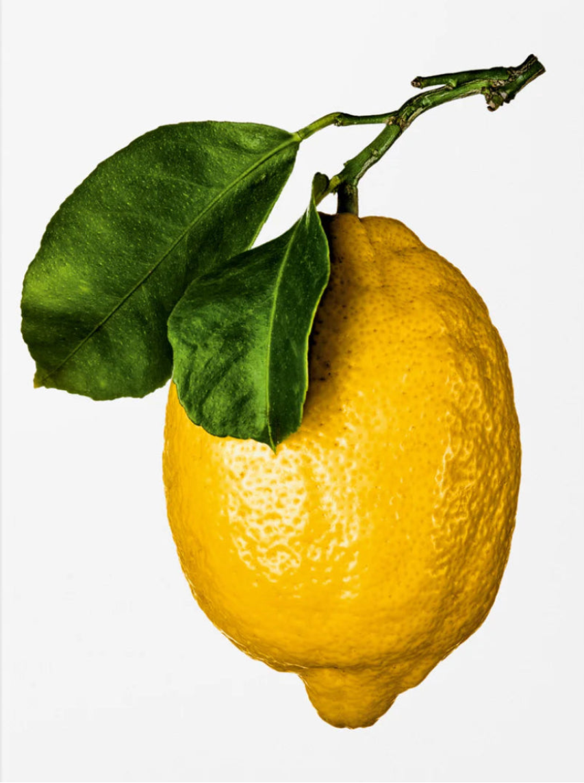 The Gourmand's Lemon - A Collection of Stories and Recipes