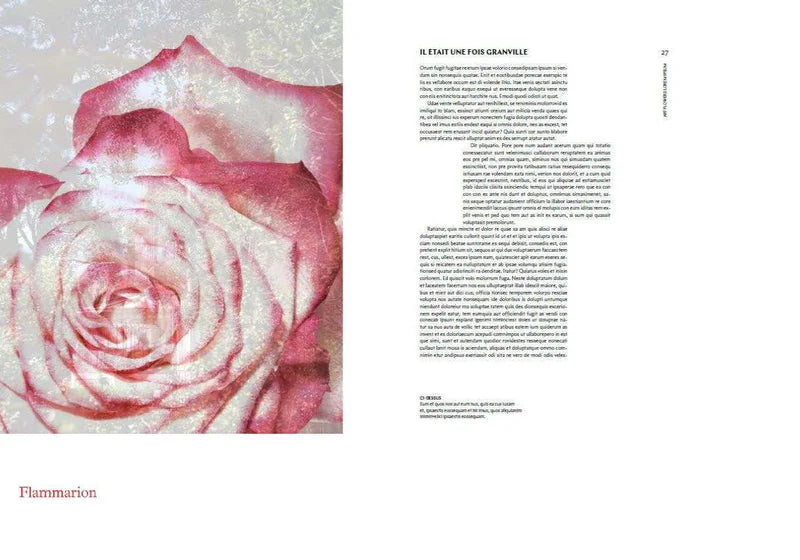 DIOR in Bloom