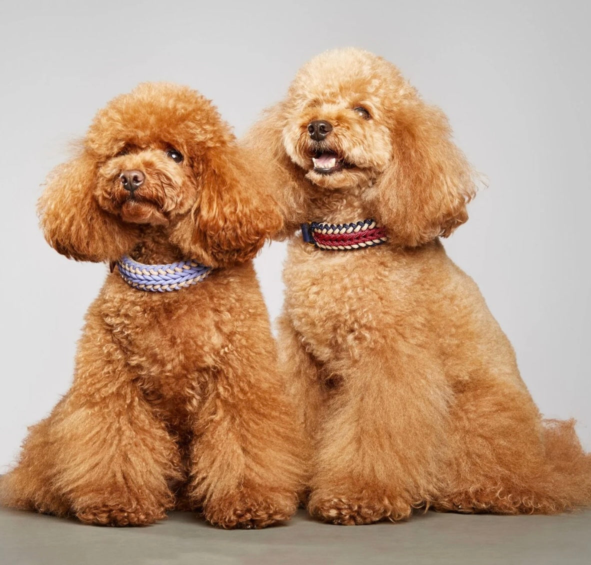 Catalina  Dog Leash Boho -  Mila & Coco