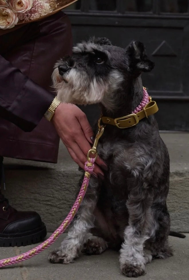 Flor Dog Collar Blush Pink -  Mila & Coco
