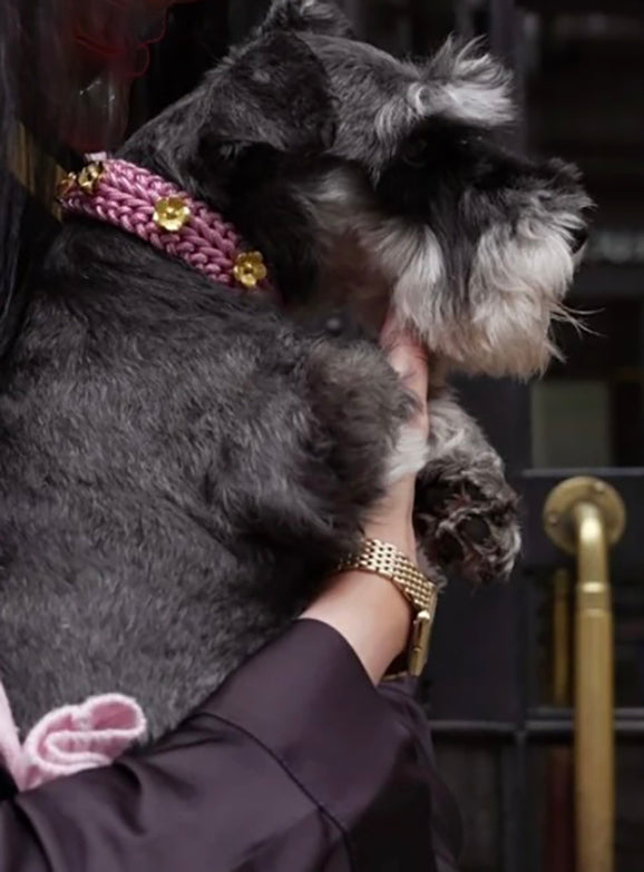 Flor Dog Collar Blush Pink -  Mila & Coco